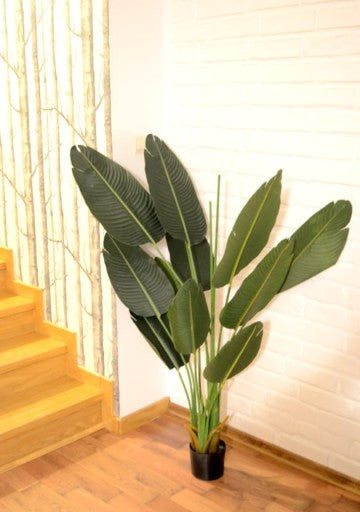 Dirbtinis augalas "Strelitzia" 120 cm
