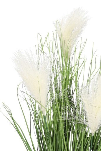 Dirbtinis augalas su pampomis