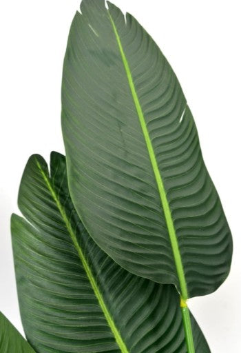 Dirbtinis augalas "Strelitzia" 120 cm