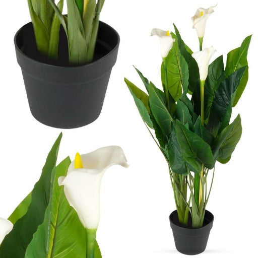Dirbtinis augalas "Strelitzia" 120 cm