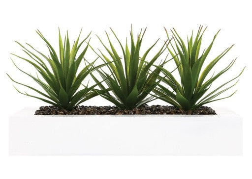 Dirbtiniai augalai su vazonu "Aloe"