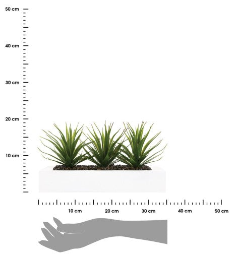 Dirbtiniai augalai su vazonu "Aloe"