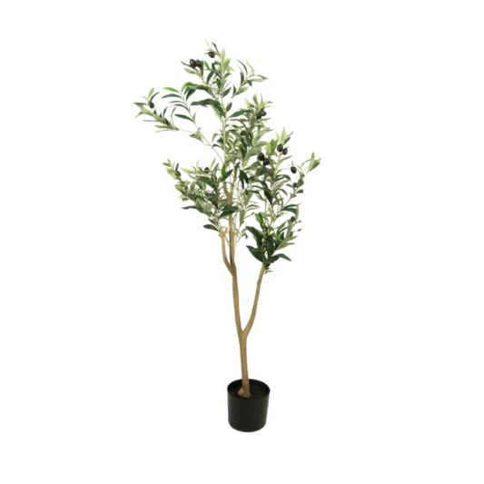 Dirbtinis augalas "Olive Tree"