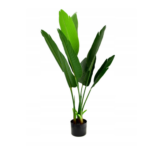 Dirbtinis augalas "Strelitzia" 120 cm